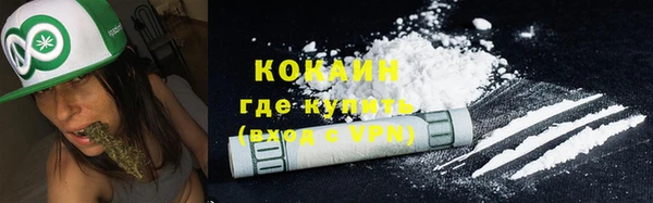 сатива Белокуриха