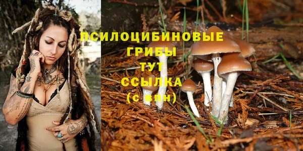 хмурый Белоозёрский