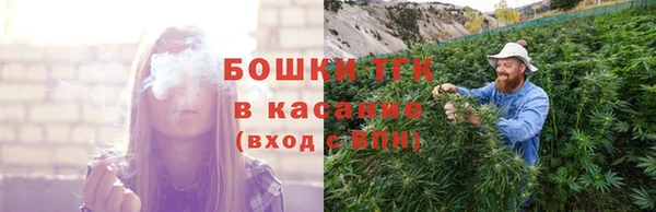 сатива Белокуриха